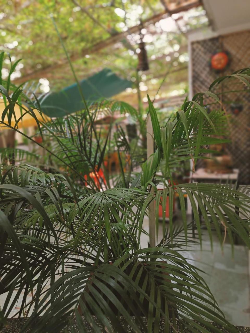 Srinekatan Heritage Villa Homestay 아흐메다바드 외부 사진