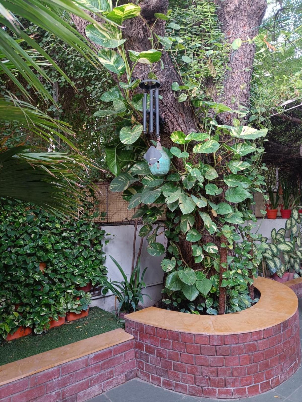 Srinekatan Heritage Villa Homestay 아흐메다바드 외부 사진